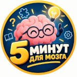 5 минут для квиза